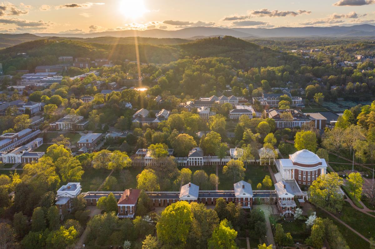 Aerial image of the lawn in spring
